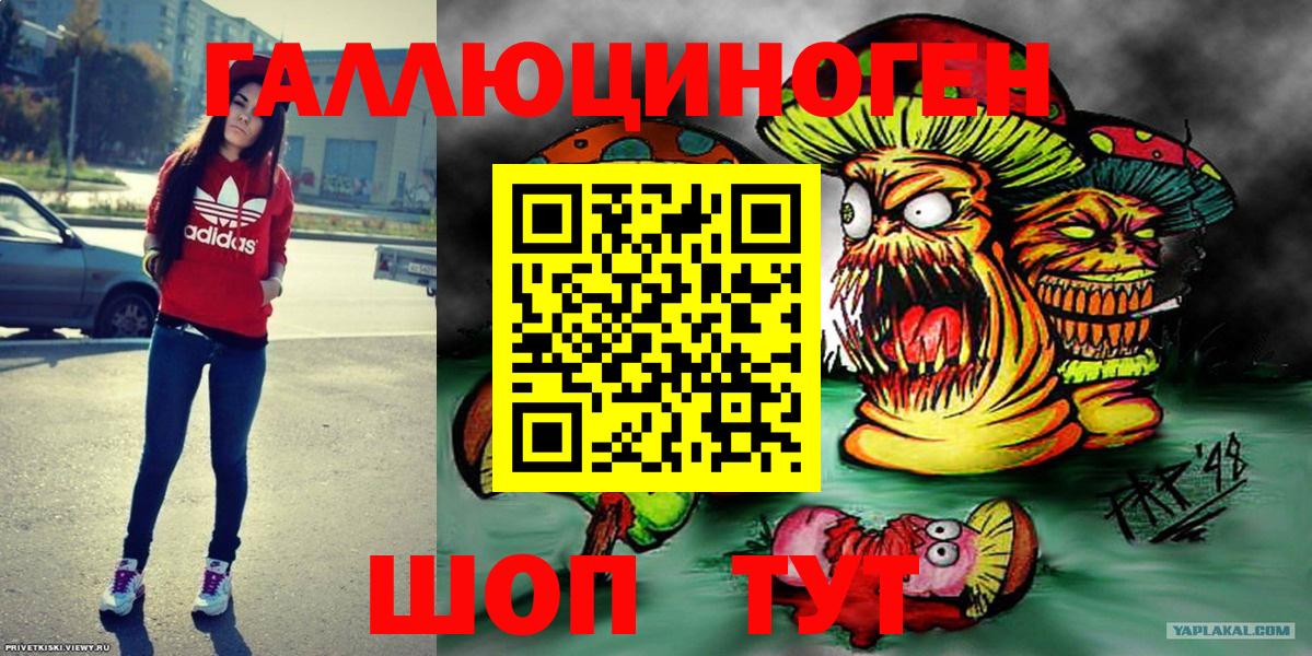 Псилоцибиновые грибы Psilocybe Чусовой