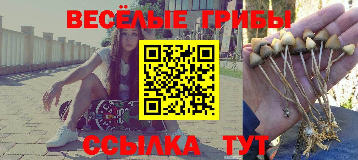 Чусовой  Псилоцибиновые грибы Psilocybine cubensis  купить наркоту  Вход с VPN 